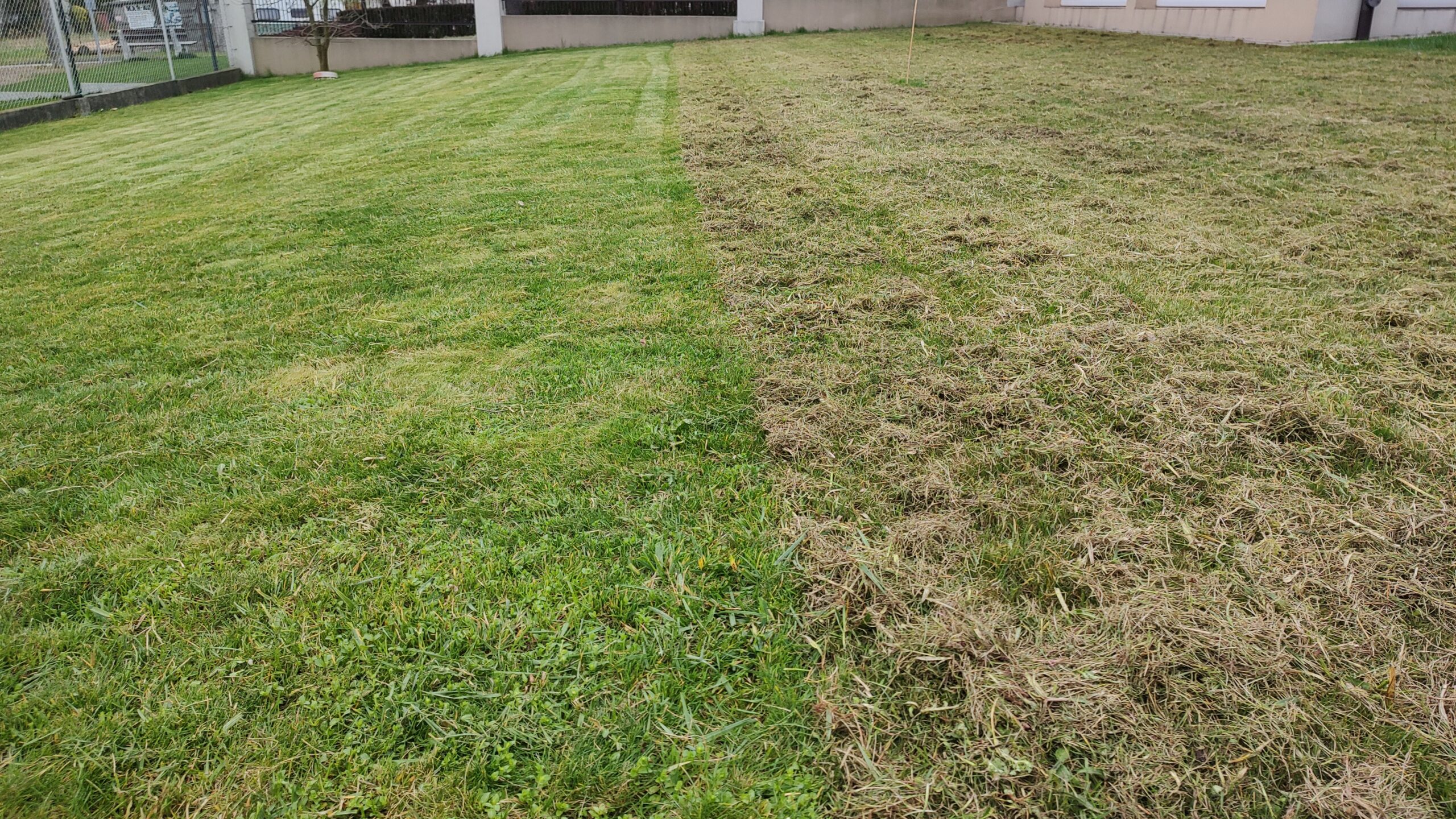 img 20250415 102423049