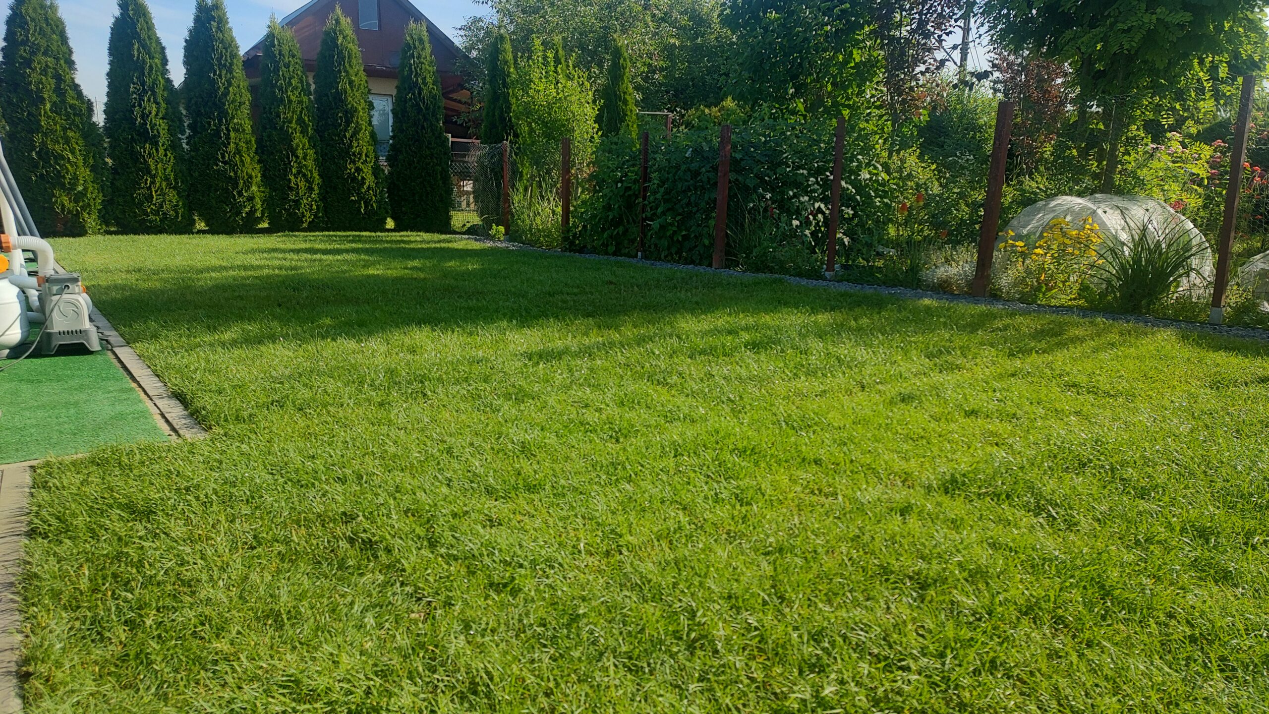 img 20250623 075635469 hdr