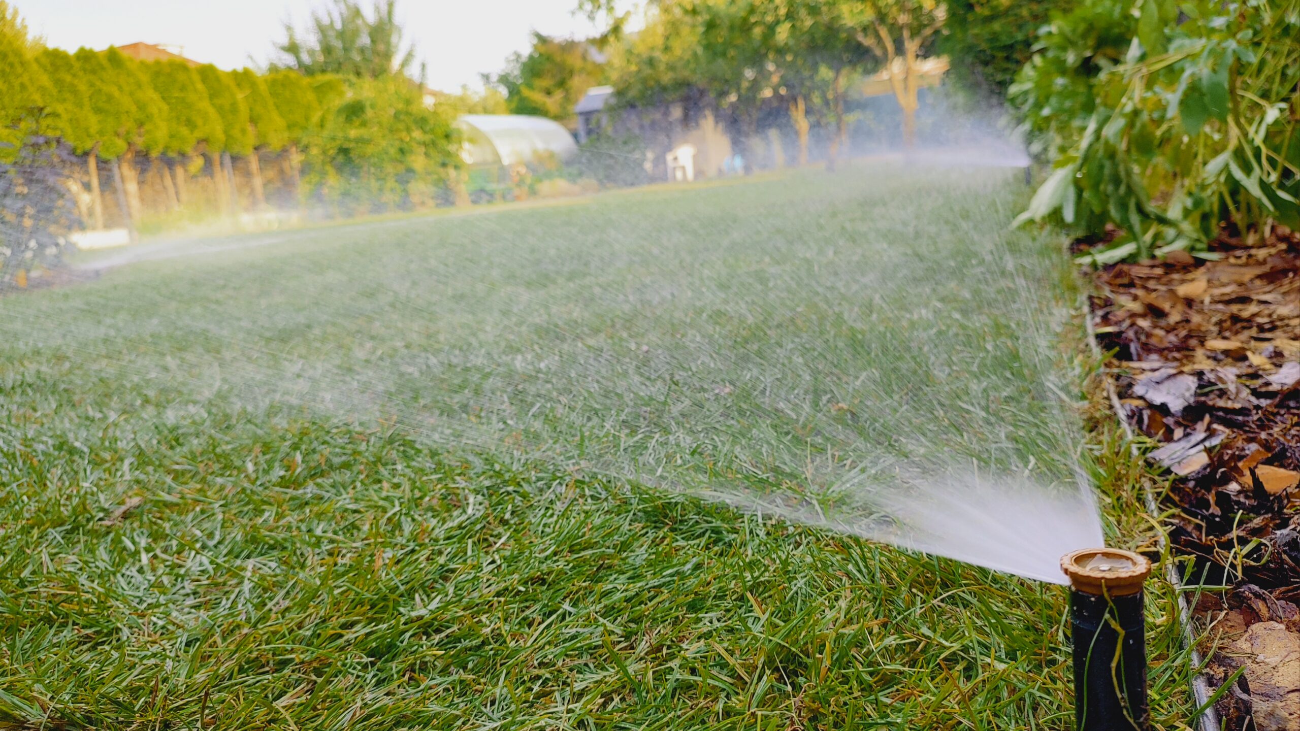 img 20250725 182409048 hdr