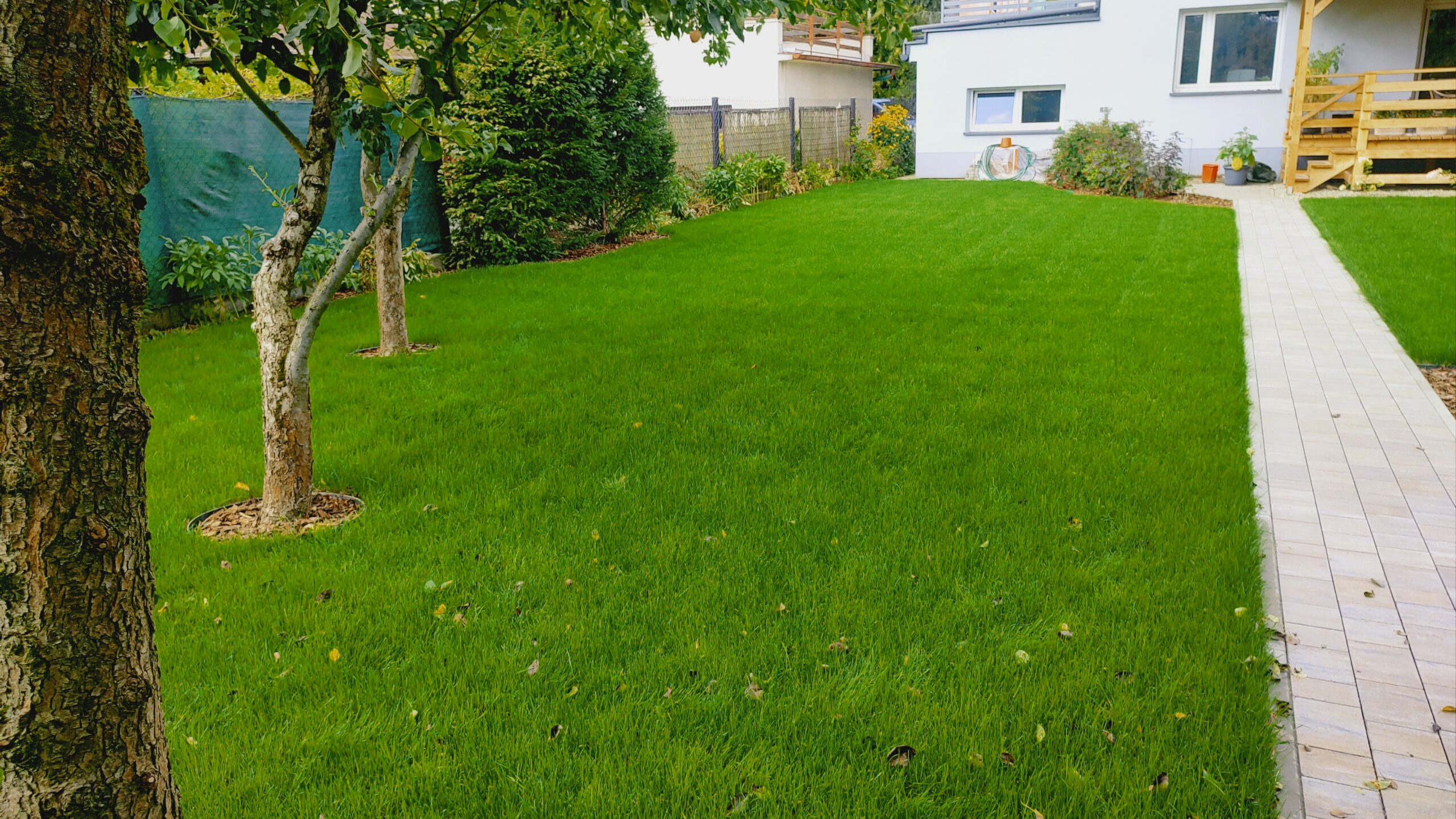 img 20250806 142259236 hdr