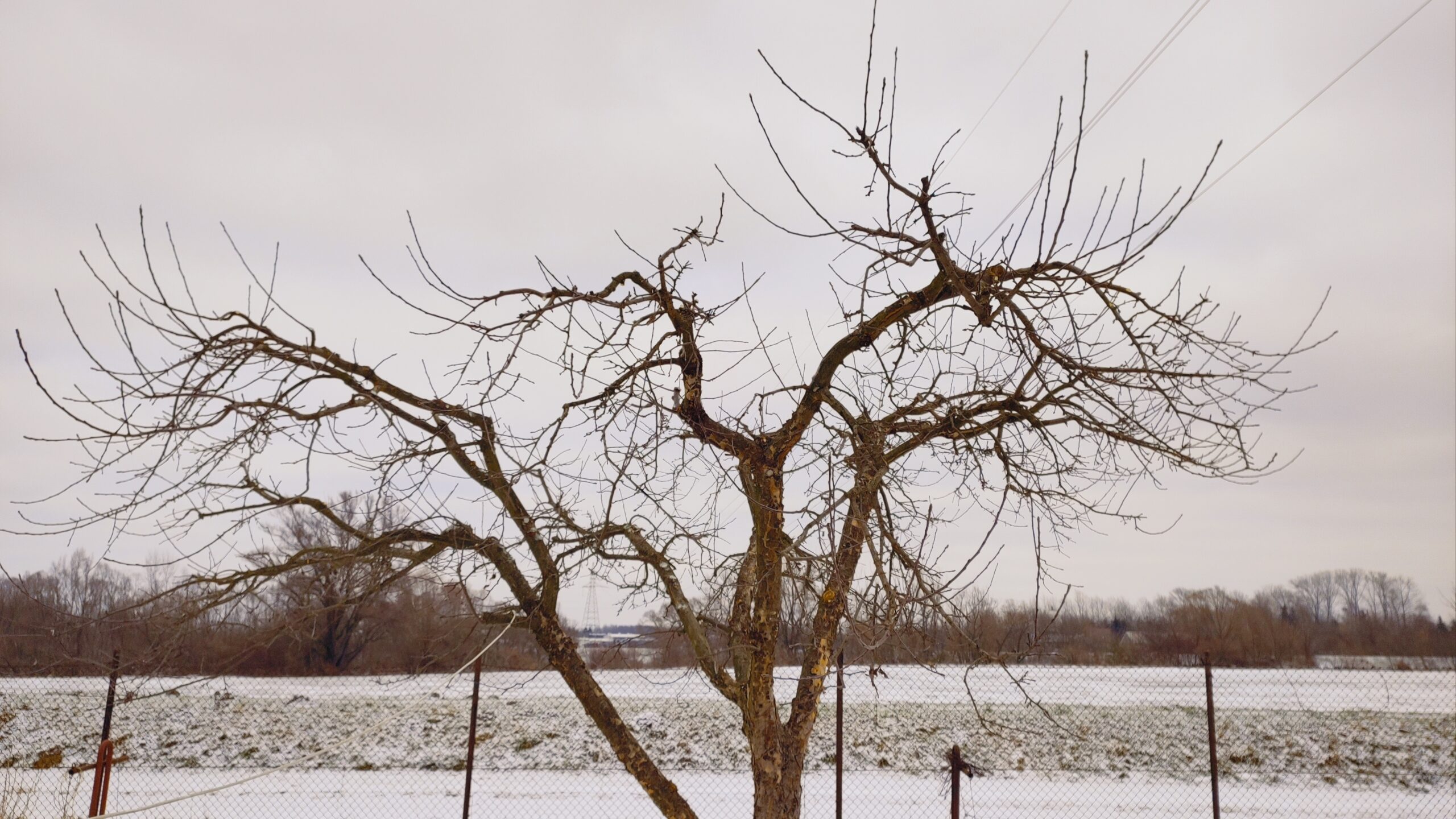 img 20260209 124840513