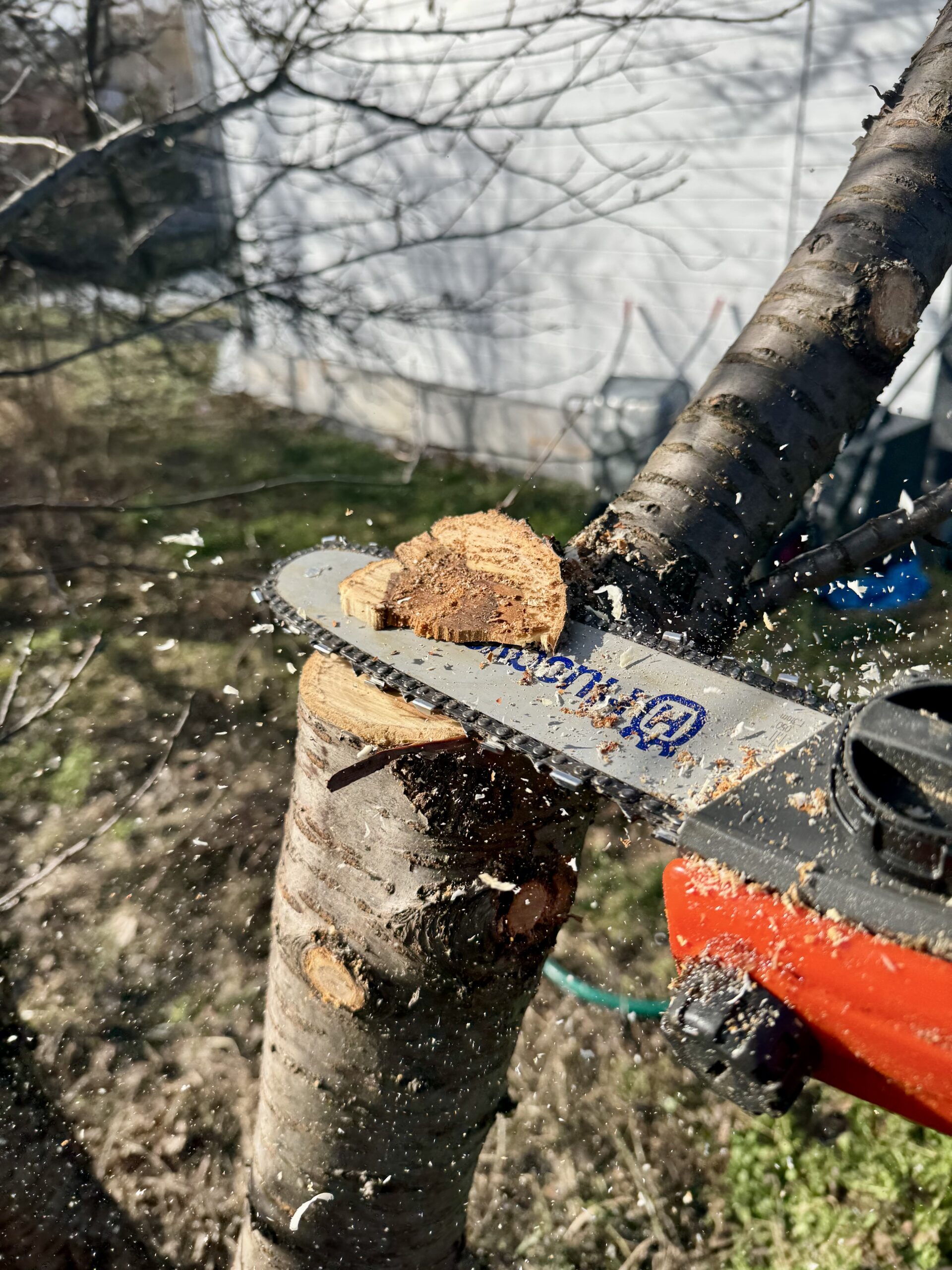 zdjęcie 13.02.2026, 09 57 41