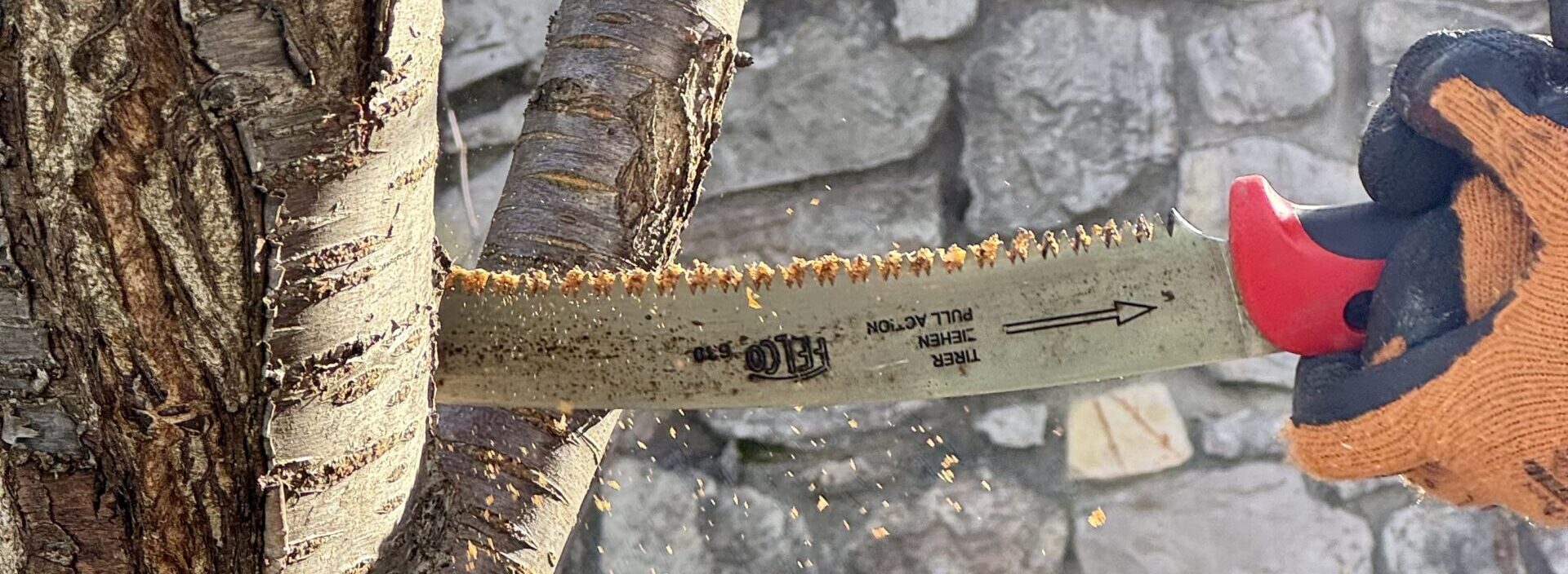 zdjęcie 13.02.2026, 10 16 21